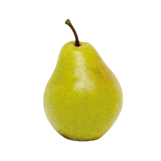 Peer