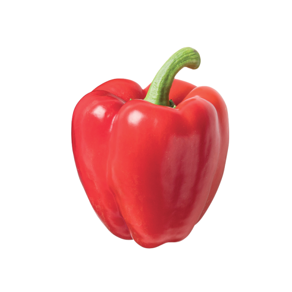 Rode Paprika